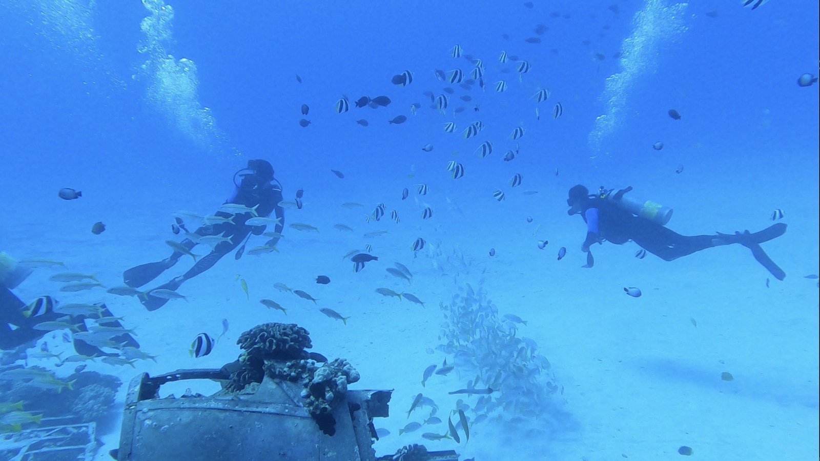 Scuba diving in Hawaii