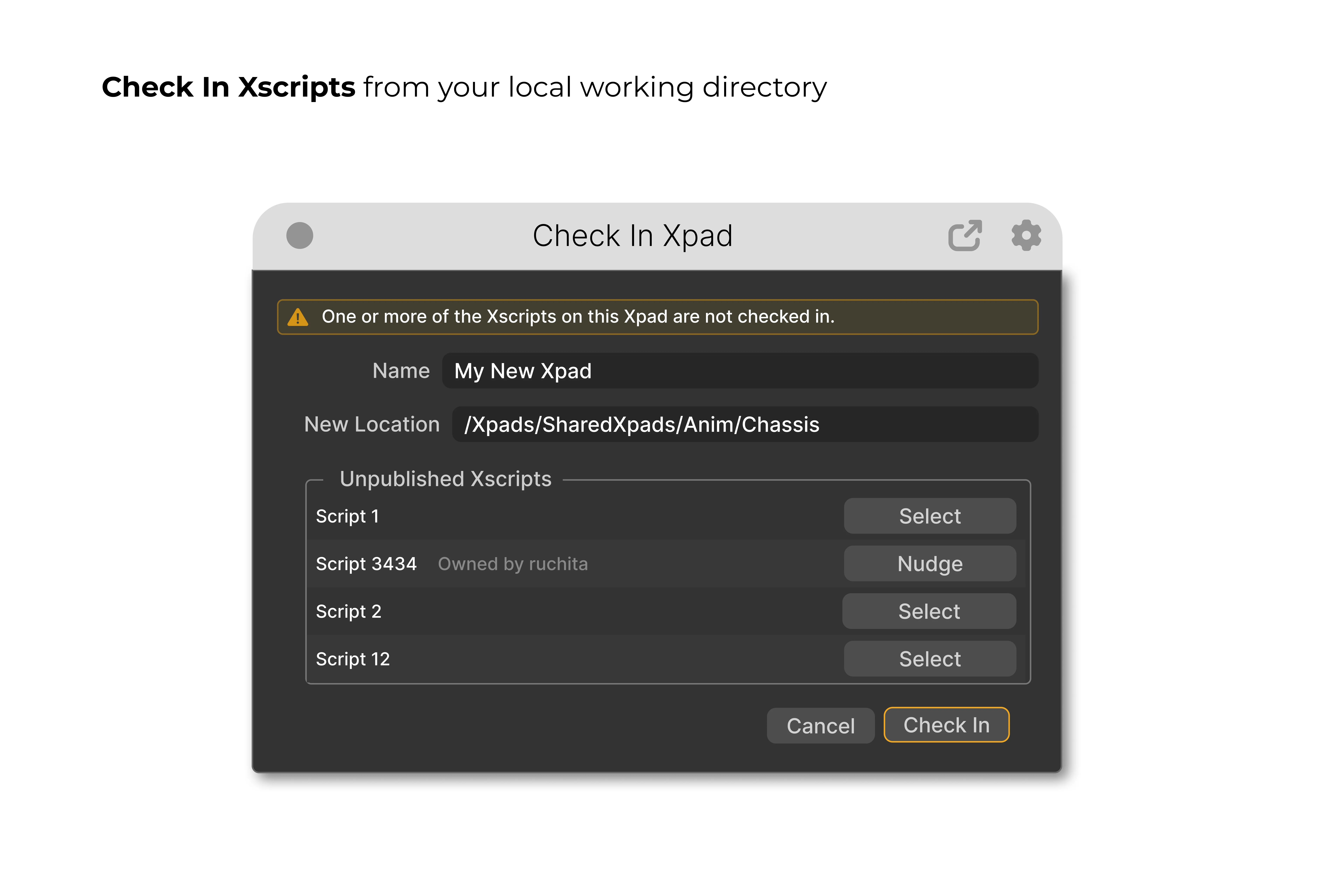 Xscripts 07